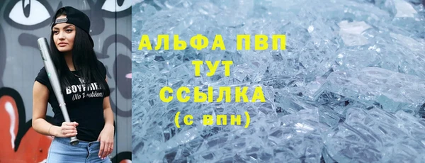 ECSTASY Липки