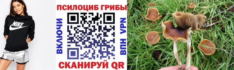 ссылка на мегу зеркало  закладка  Цимлянск  Псилоцибиновые грибы GOLDEN TEACHER 